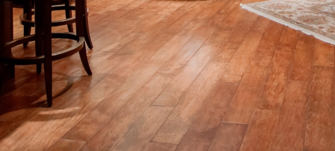 Floor Sanding Blegravia
