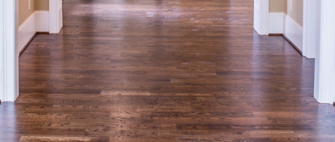 Dust-free sanding and sealing - house, Westminster