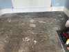 Floor repair and reclaiming, Larkhall